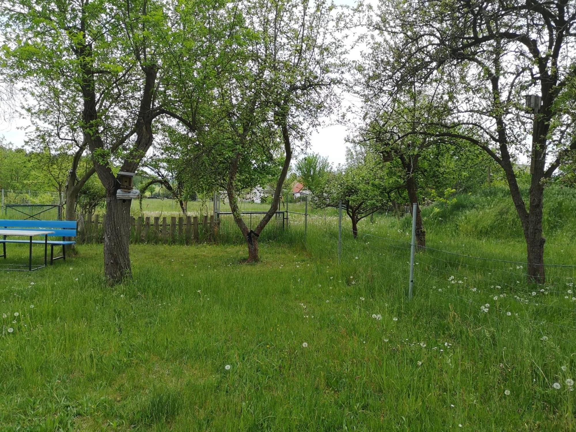 Ferienwohnung Im Vogelhaus Mit Dachterasse Und Grossem Garten Calau Экстерьер фото